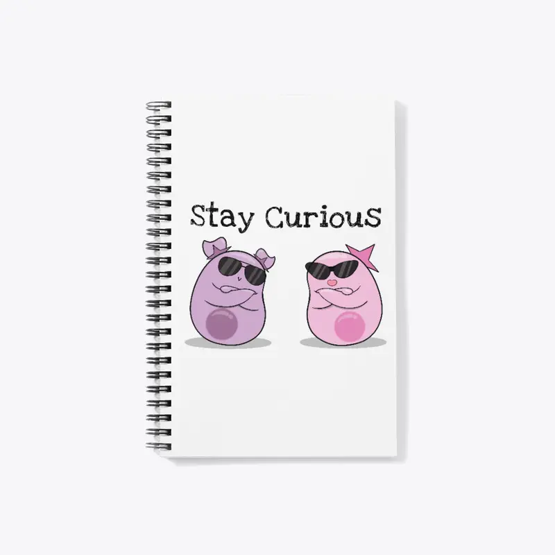 Stay Curious in Style